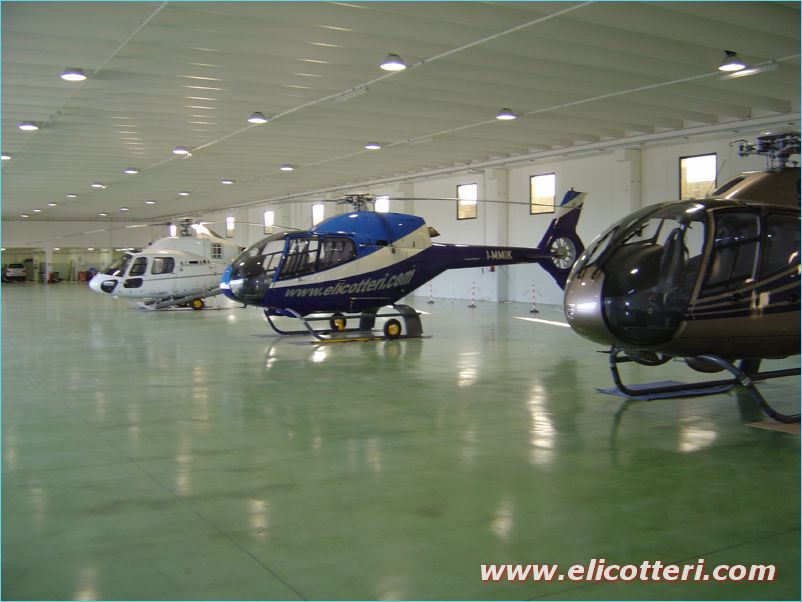 elifoto (75)